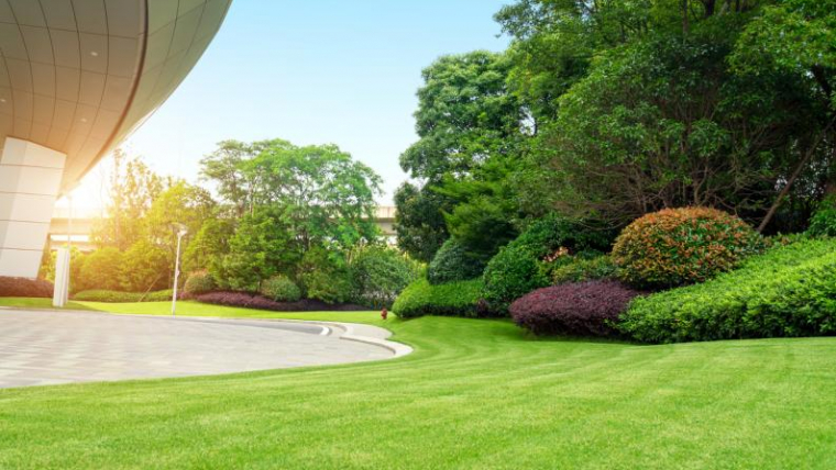 5 REASONS TO HIRE A PROFESSIONAL LANDSCAPER