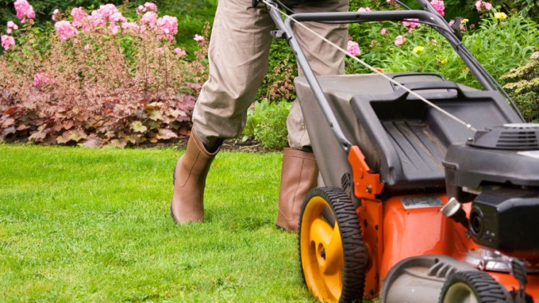3 LANDSCAPING MISTAKES THAT KILL A FIRST-TIME HOMEOWNER’S CURB APPEAL
